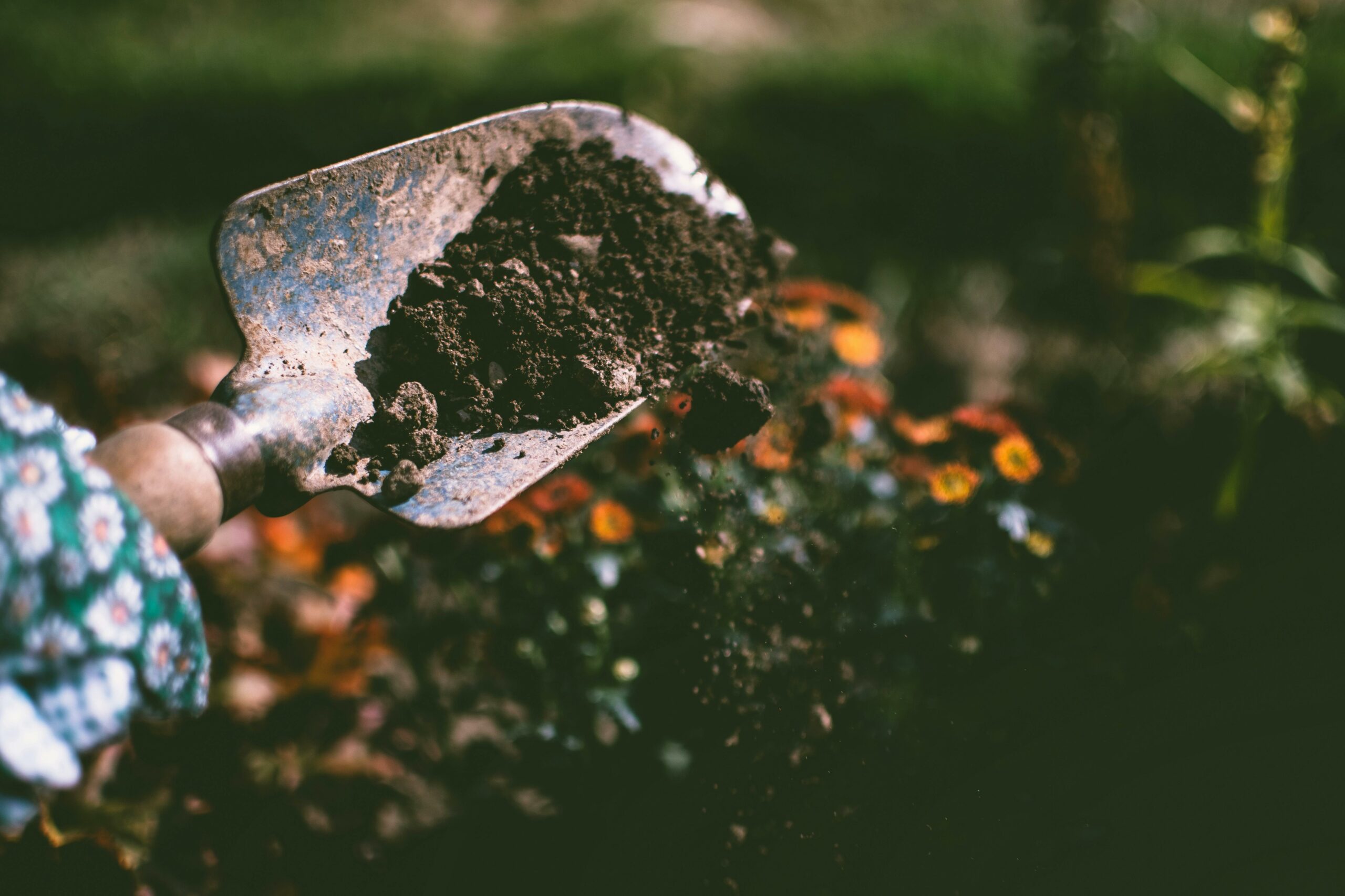 Comment utiliser le compost
